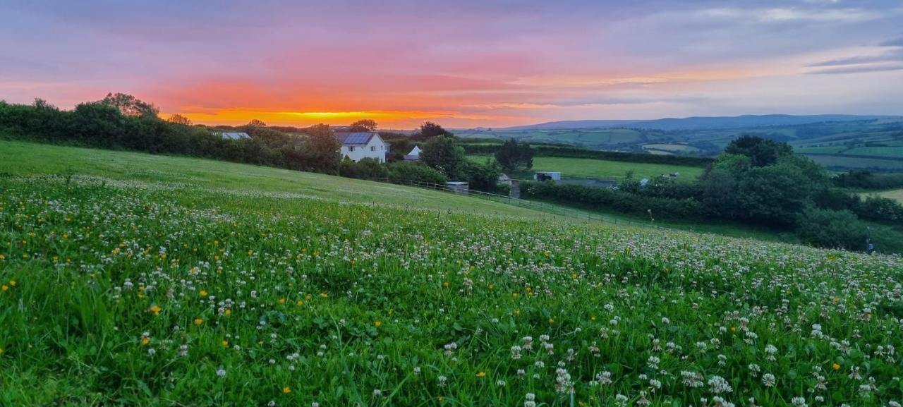 Merrifield House Devon Kingsbridge  Esterno foto
